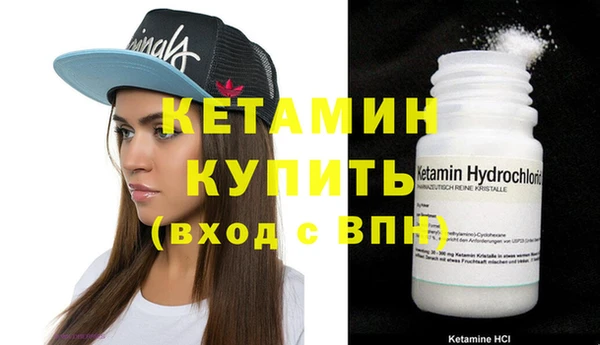 амф Гусев