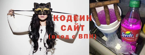 амф Гусев