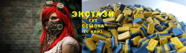 амф Гусев