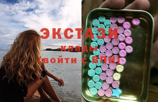 амф Гусев
