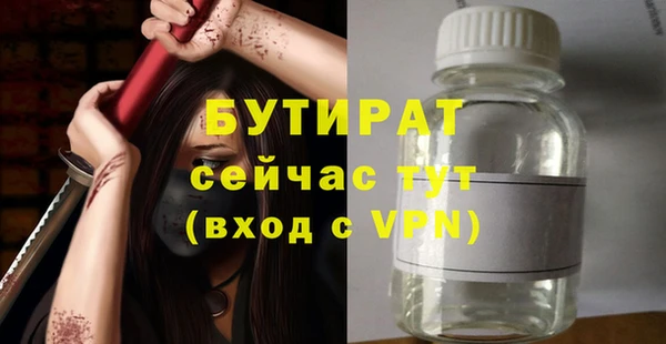 амф Гусев