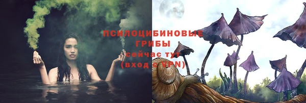 амф Гусев