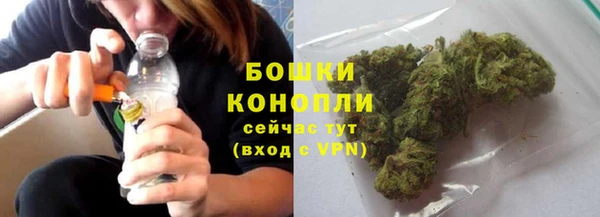 Альфа ПВП Гусь-Хрустальный