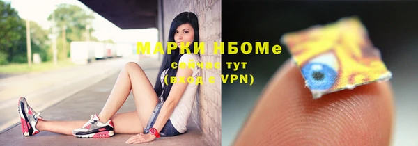 амф Гусев
