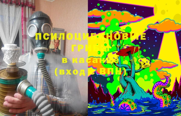 Альфа ПВП Гусь-Хрустальный