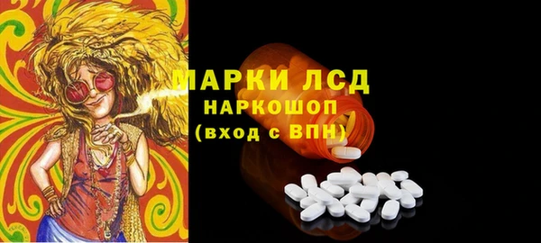 амф Гусев