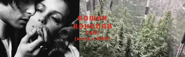 Альфа ПВП Гусь-Хрустальный