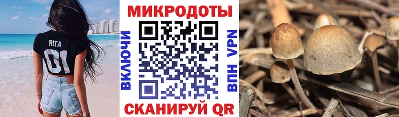 Купить закладки  Лыткарино  Галлюциногенные грибы GOLDEN TEACHER 
