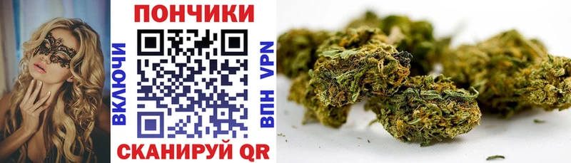 Канабис гибрид  Купить закладки  Лыткарино 